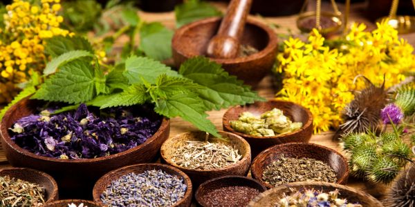 The Power of Adaptogens for Energy: Boost Your Vitality Today