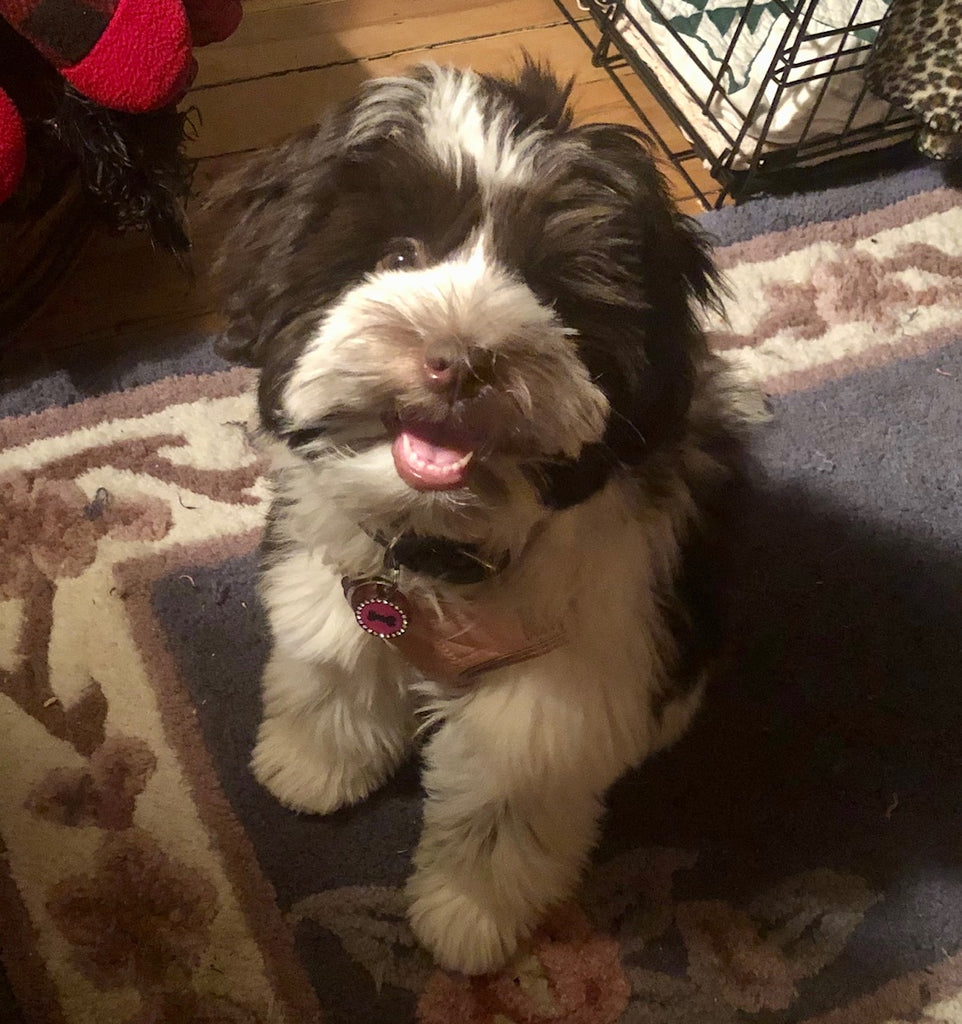 Pourquoi une promenade peut vous rendre plus heureux et en meilleure santé ~