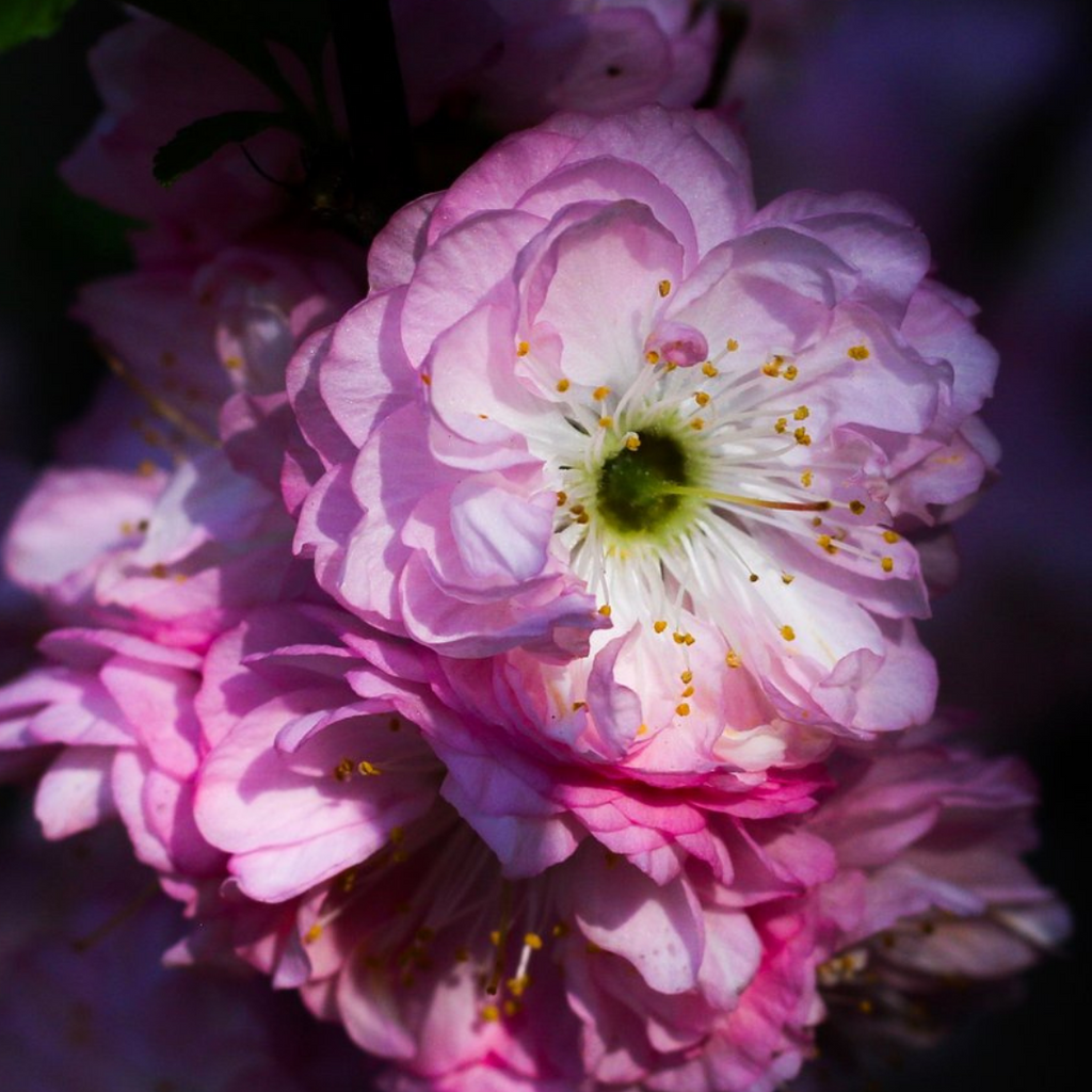 Et, QUOI est-ce qui va suivre ?