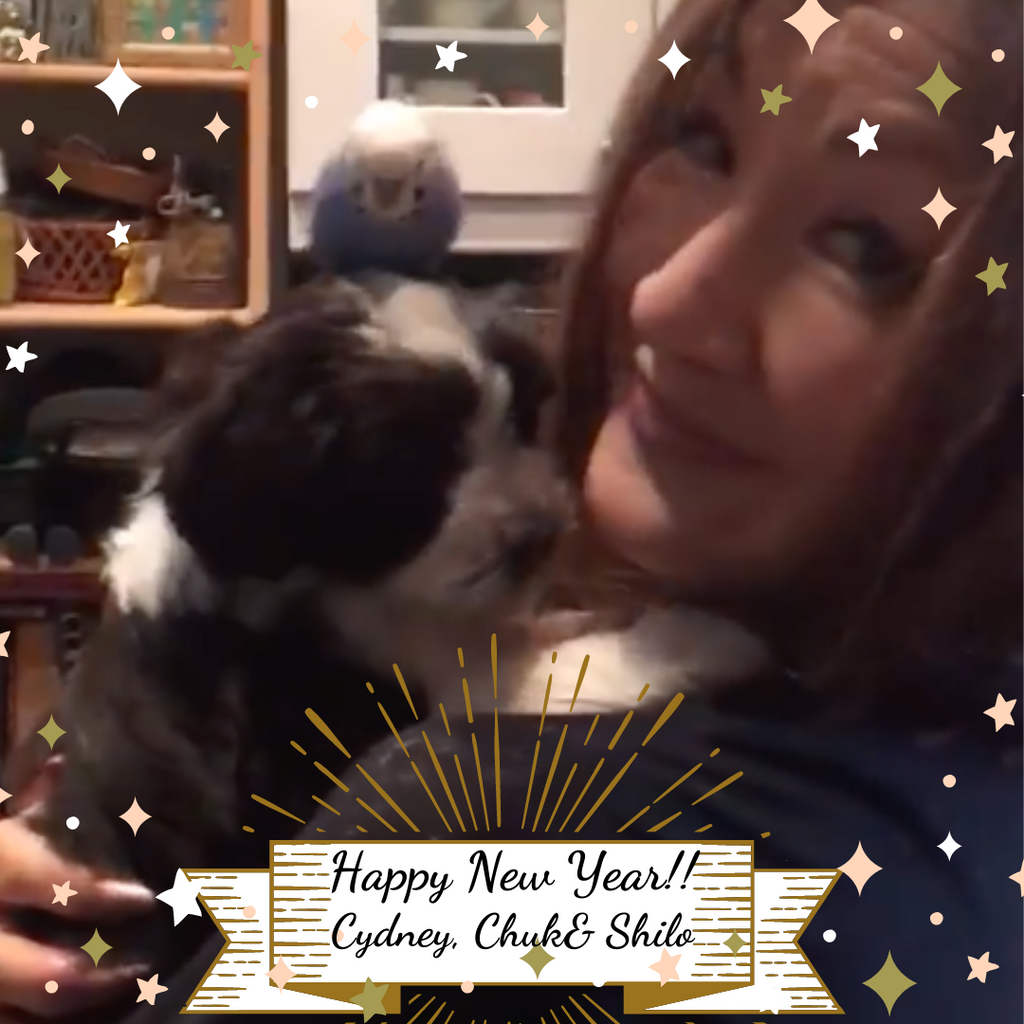 Célébrons cette année ~