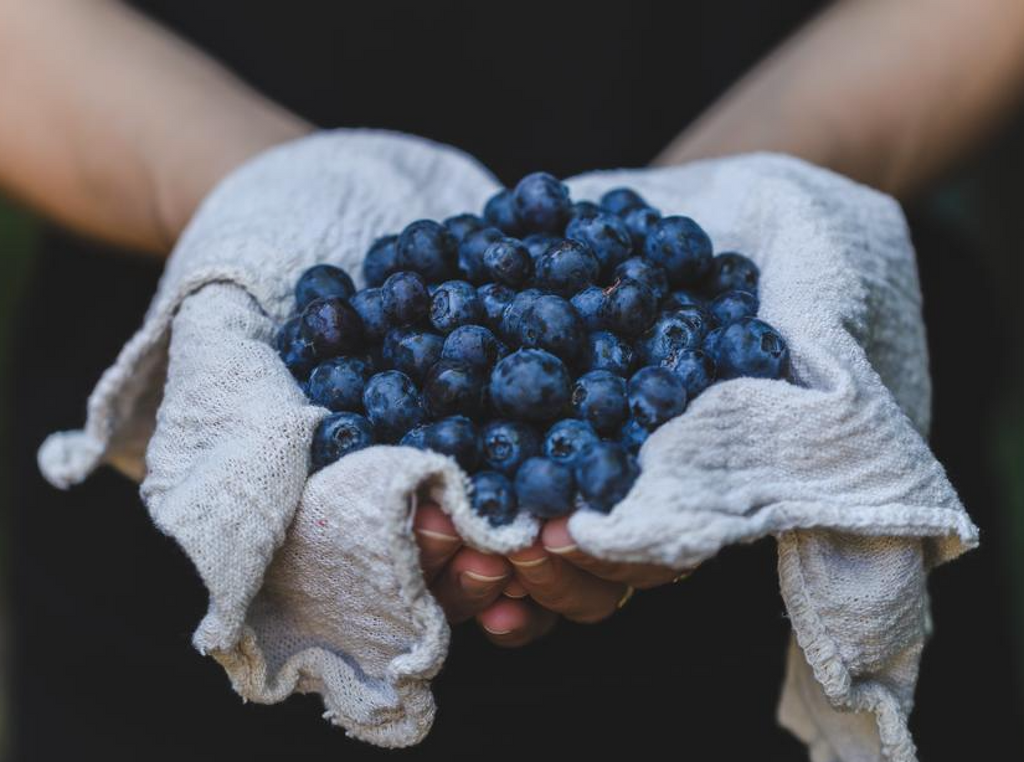 Pourquoi des habitudes saines ?