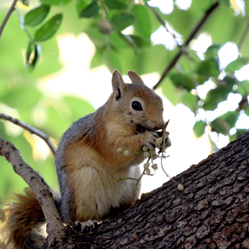 Il est temps de faire des provisions !!