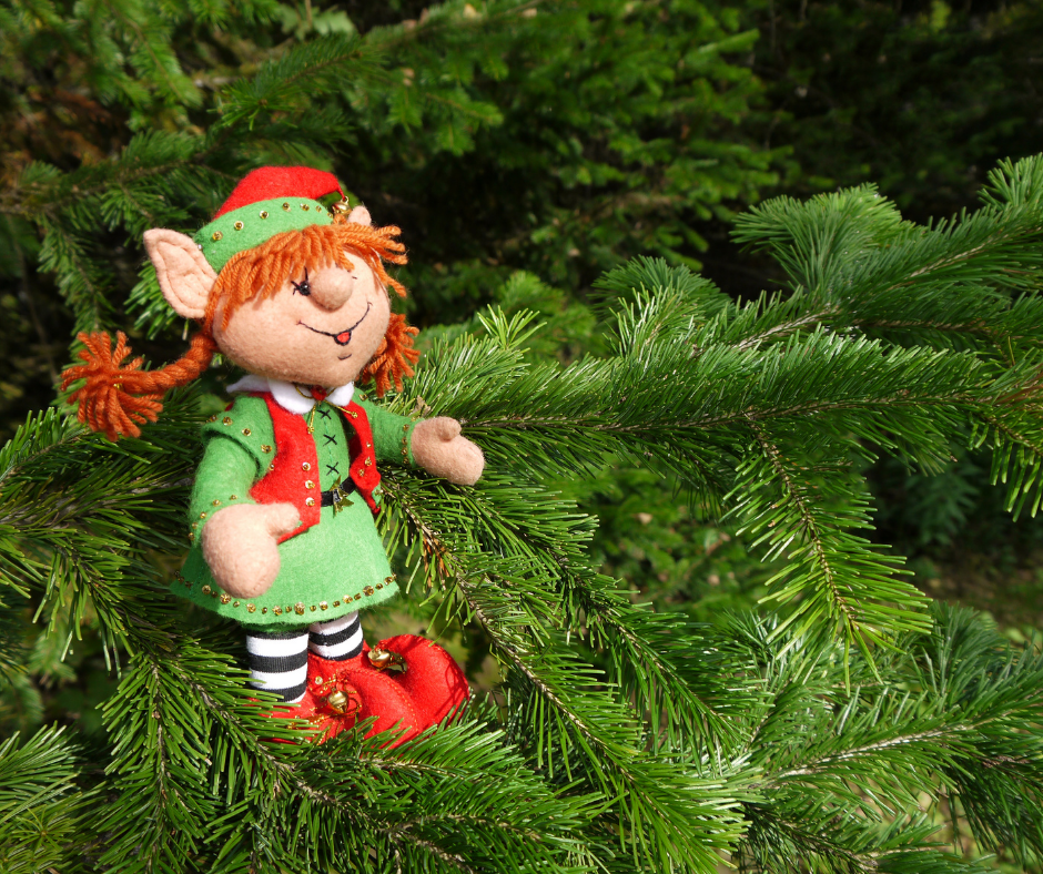 Les elfes sont toujours là !!