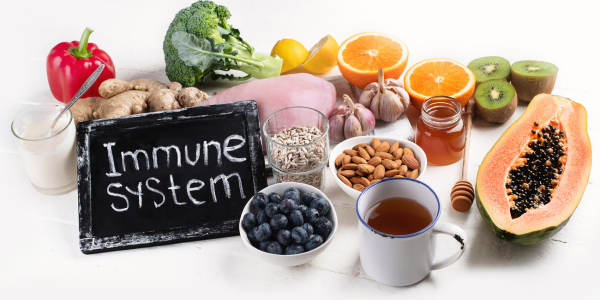 Debunking Myths and Facts About Immune System Support